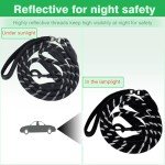 6FT Reflective Dog Leash with Padded Handle