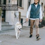 6FT Reflective Dog Leash with Padded Handle