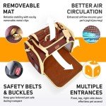 PETPROVED Foldable Pet Carrier for Dogs and Cats