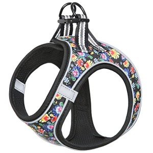 Soft Mesh Step-in Dog Harness for Small Dogs