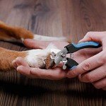 Dog Nail Clippers with Safety Lock and Guard
