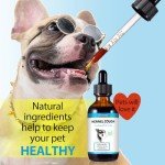 Herbal Kennel Cough Treatment for Dogs, 60ML