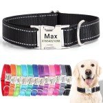 Personalized Reflective Dog Collar with Engraving