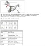 Pink Basic Dog Hoodie - Large 20