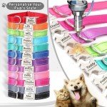 Personalized Reflective Dog Collar with Engraving
