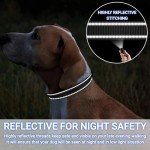 Personalized Reflective Dog Collar with Engraving