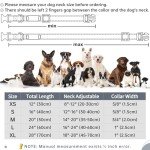 Personalized Reflective Dog Collar with Engraving