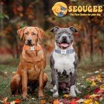 Personalized Reflective Dog Collar with Engraving