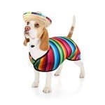 Funny Dog Poncho Sombrero Hat for Parties
