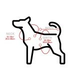 Funny Dog Poncho Sombrero Hat for Parties