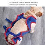 Large Dog Grooming Hammock & Nail Trimming Harness