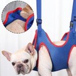 Large Dog Grooming Hammock & Nail Trimming Harness