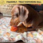 Interactive Dog Treat Toy for Boredom & Fun