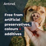 Vetz Petz Antinol Dog Joint Supplement – 90 Softgels