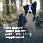 Vetz Petz Antinol Dog Joint Supplement – 90 Softgels