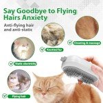 Rechargeable Pet Steam Brush for Dogs & Cats