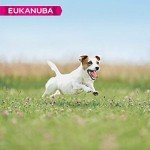 Eukanuba Dry Dog Food for Small Adults - 3 kg