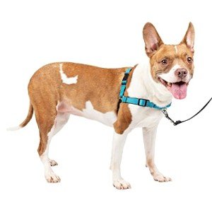 PetSafe Easy Walk No-Pull Dog Harness - Medium