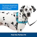 PetSafe Easy Walk No-Pull Dog Harness - Medium