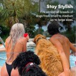 Black Rhino Comfort Collar - Soft Neoprene for Dogs