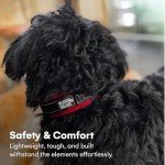 Black Rhino Comfort Collar - Soft Neoprene for Dogs