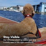 Black Rhino Comfort Collar - Soft Neoprene for Dogs