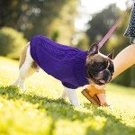 Cozy Purple Turtleneck Sweater for Small Dogs