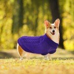 Cozy Purple Turtleneck Sweater for Small Dogs