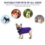 Cozy Purple Turtleneck Sweater for Small Dogs