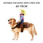 Cowboy Knight Pet Costume for Dogs and Cats