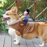 Cowboy Knight Pet Costume for Dogs and Cats