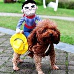 Cowboy Knight Pet Costume for Dogs and Cats