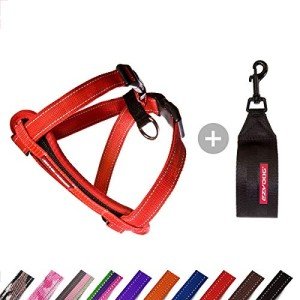 EZYDOG Classic Reflective No-Pull Harness (Red)