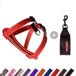 EZYDOG Classic Reflective No-Pull Harness (Red)