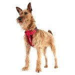 EZYDOG Classic Reflective No-Pull Harness (Red)