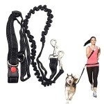 Hands-Free Dog Leash with Adjustable Seat Belt