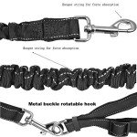 Hands-Free Dog Leash with Adjustable Seat Belt
