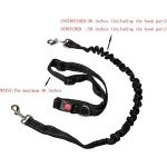 Hands-Free Dog Leash with Adjustable Seat Belt