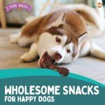 Large Collagen Chewy Beef Dog Bones - 4 Pack