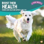 Large Collagen Chewy Beef Dog Bones - 4 Pack