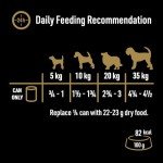 Cesar Natural Goodness Wet Dog Food, 12 Cans