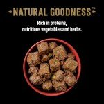 Cesar Natural Goodness Wet Dog Food, 12 Cans
