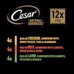 Cesar Natural Goodness Wet Dog Food, 12 Cans