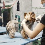 Dog Grooming Arm Accessories and Support Straps