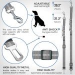 Adjustable Dog Car Seat Belts - 2 Pack