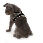 Adjustable Nylon Step-In Dog Harness for All Sizes