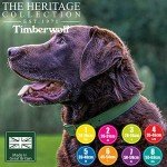 Ancol Timberwolf Durable Green Leather Dog Collar