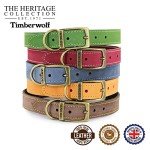Ancol Timberwolf Durable Green Leather Dog Collar