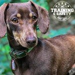 Ancol Timberwolf Durable Green Leather Dog Collar