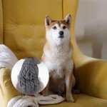 Cozy Knitted Dog Sweater with Turtleneck